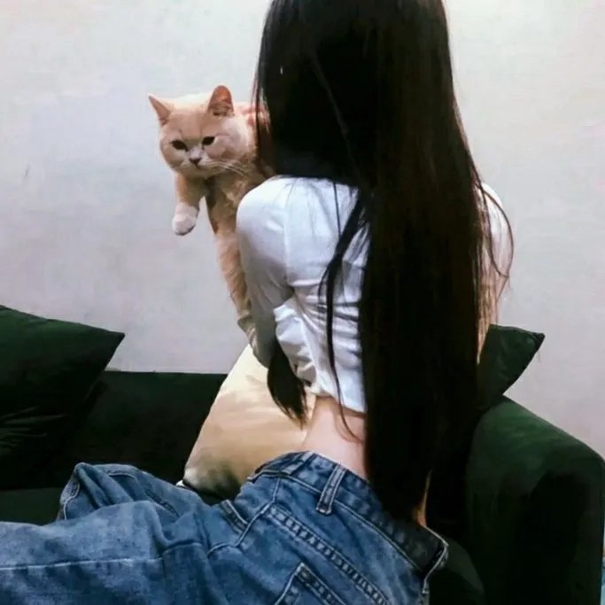 猎鹰追击
